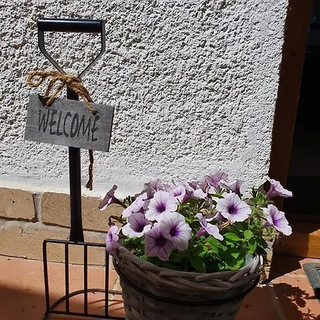 アパート P7-nyaralo *